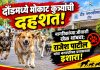 दौंडमध्ये मोकाट कुत्र्यांची दहशत! नागरिकांच्या जीवाशी खेळ थांबवा; दौंड मर्चंट असोसिएशनचे अध्यक्ष राजेश पाटील यांचा दौंड नगरपरिषद प्रशासनाला इशारा |